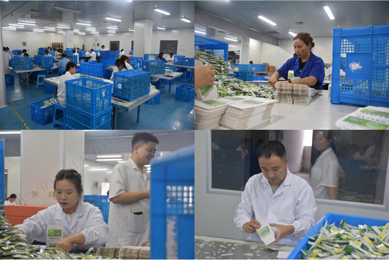 1694748588984031.jpg 2.jpg